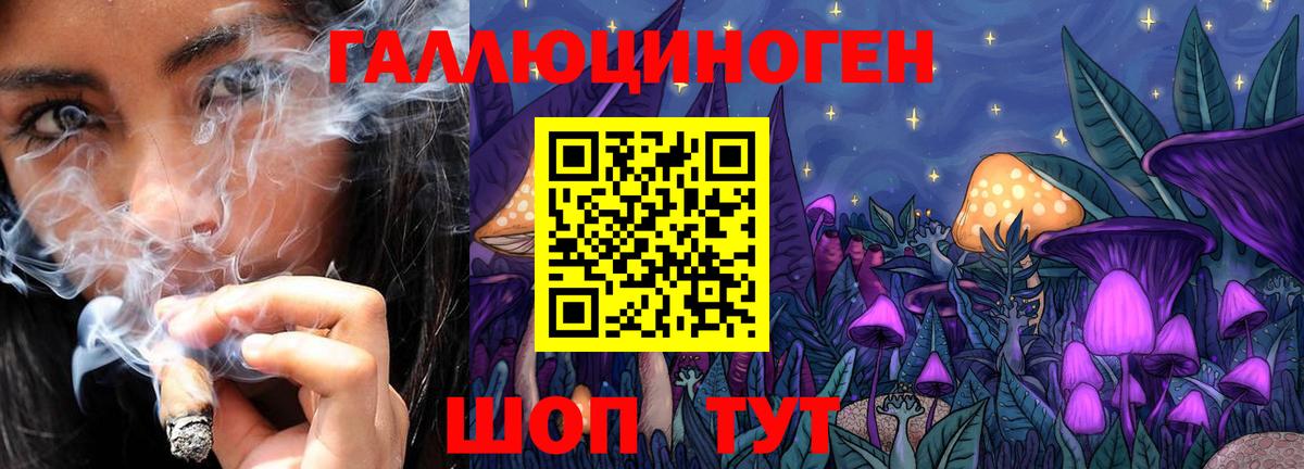 купить наркотик  Галлюциногенные грибы MAGIC MUSHROOMS  Галлюциногенные грибы Magic Shrooms  Вход с VPN  Петропавловск-Камчатский 